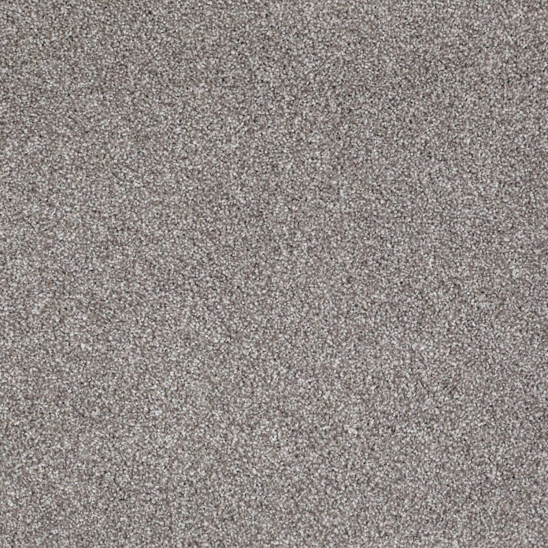 Shaw Floors Foundations Always Ready II Net Flint Stone