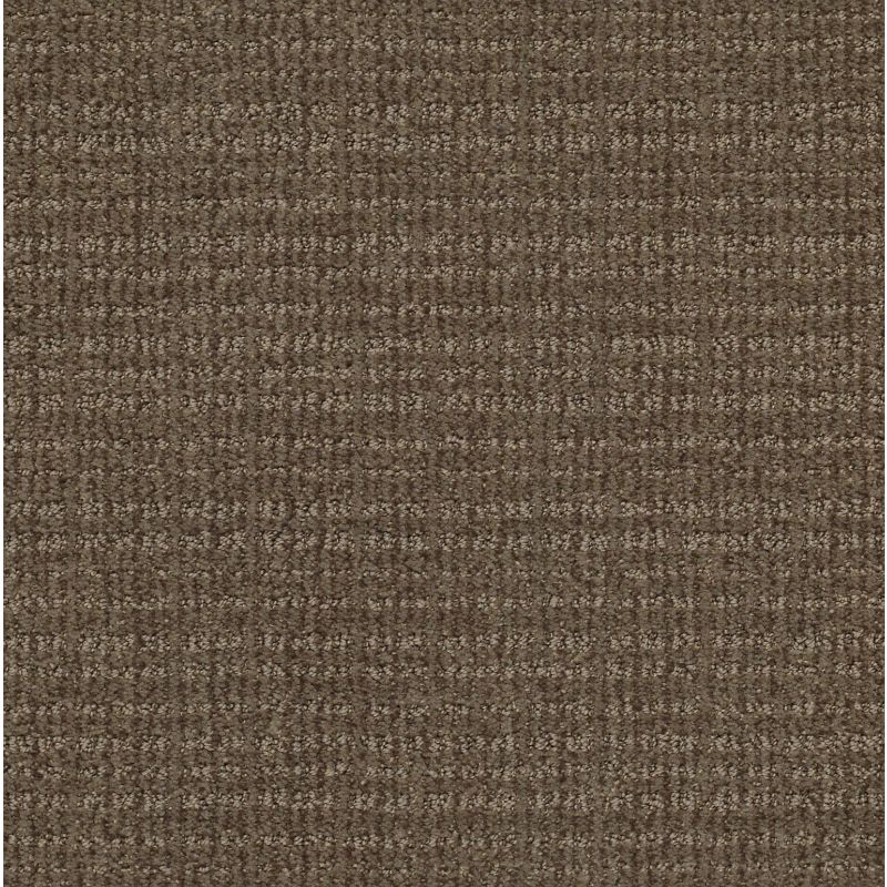 Shaw Floors Foundations Sensible Now Net Antique Chest