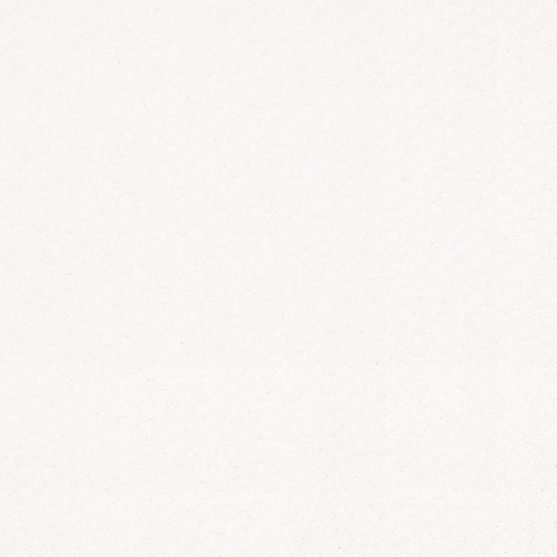 Shaw Floors Foundations Infallible Instinct Net White Hot