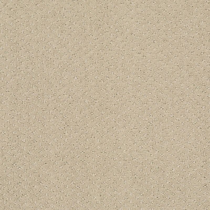 Shaw Floors Foundations Infallible Instinct Net Studio Taupe