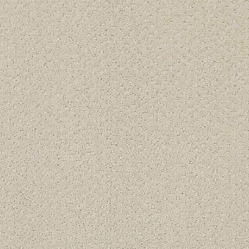 Shaw Floors Foundations Infallible Instinct Net Quiet Moment