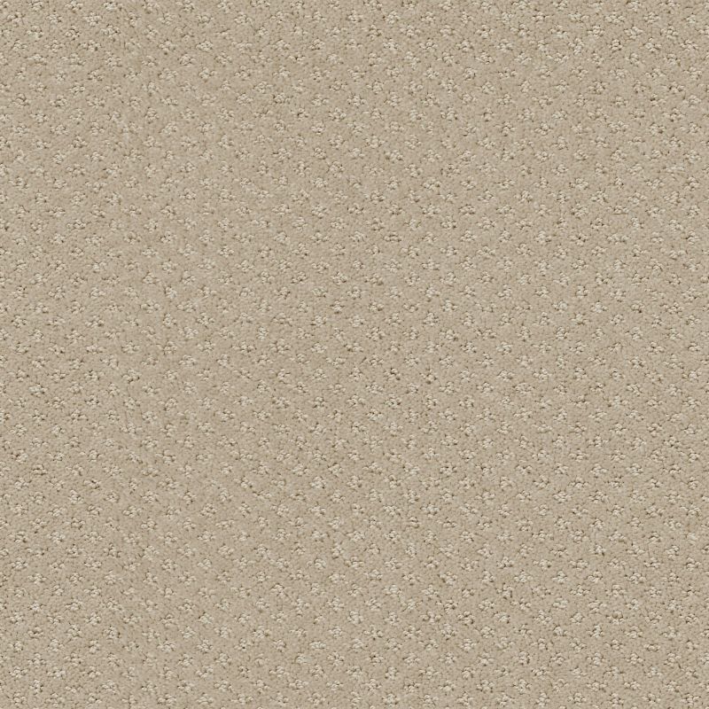 Shaw Floors Foundations Infallible Instinct Net Park Avenue