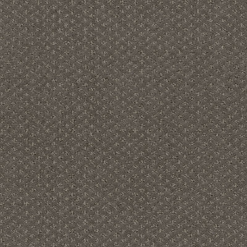 Shaw Floors Foundations Infallible Instinct Net Front Gate