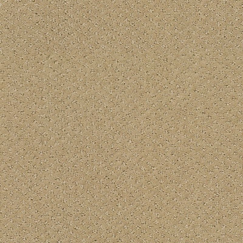 Shaw Floors Foundations Infallible Instinct Net Biscotti