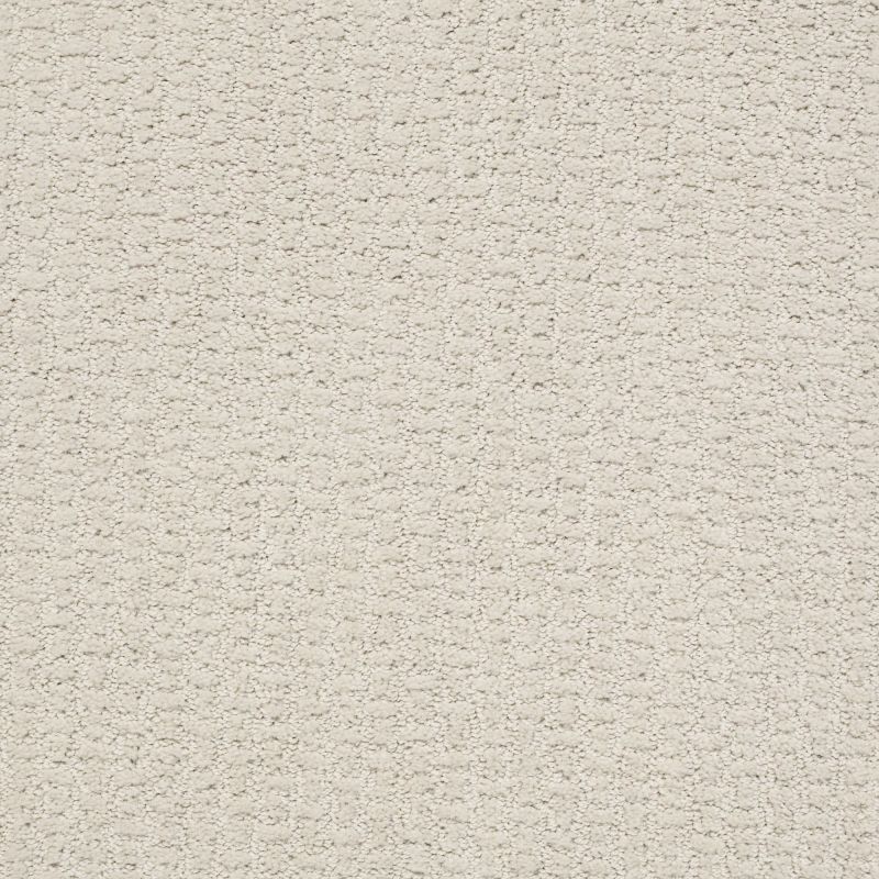 Shaw Floors Foundations Complete Control Net Rock Crystal