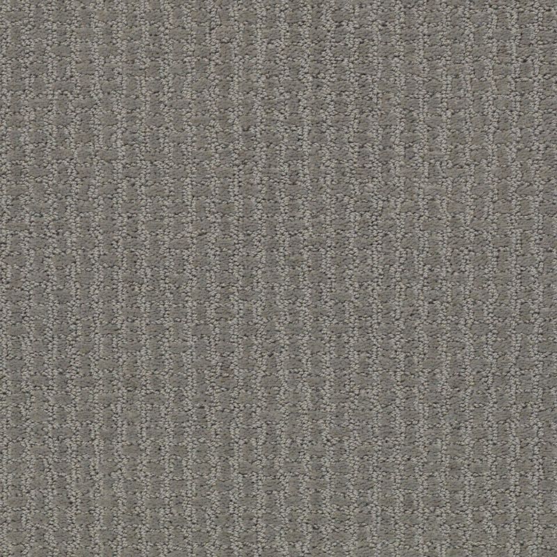 Shaw Floors Foundations Complete Control Net Metal