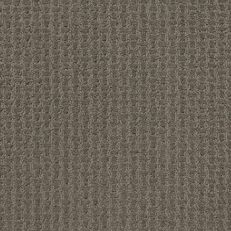 Shaw Floors Foundations Complete Control Net Front Gate