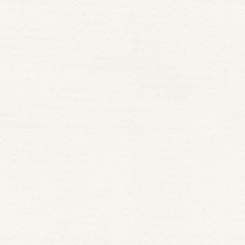 Shaw Floors Foundations Alluring Disposition Net White Hot