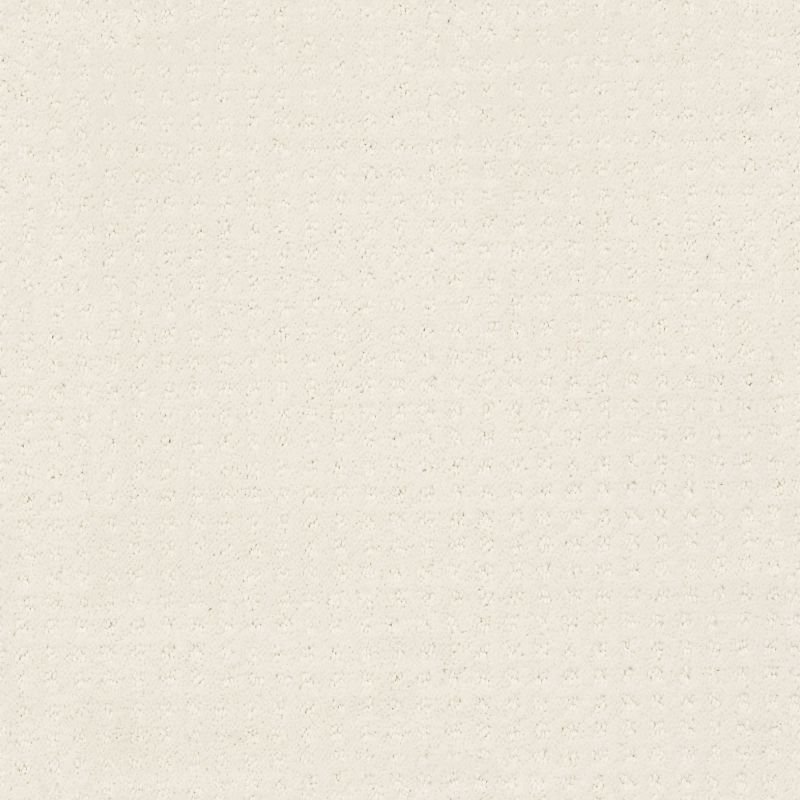 Shaw Floors Foundations Alluring Disposition Net Crisp Linen