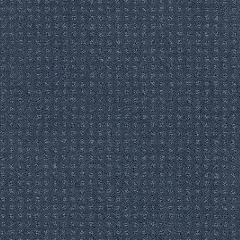 Shaw Floors Foundations Alluring Disposition Net Royal Navy