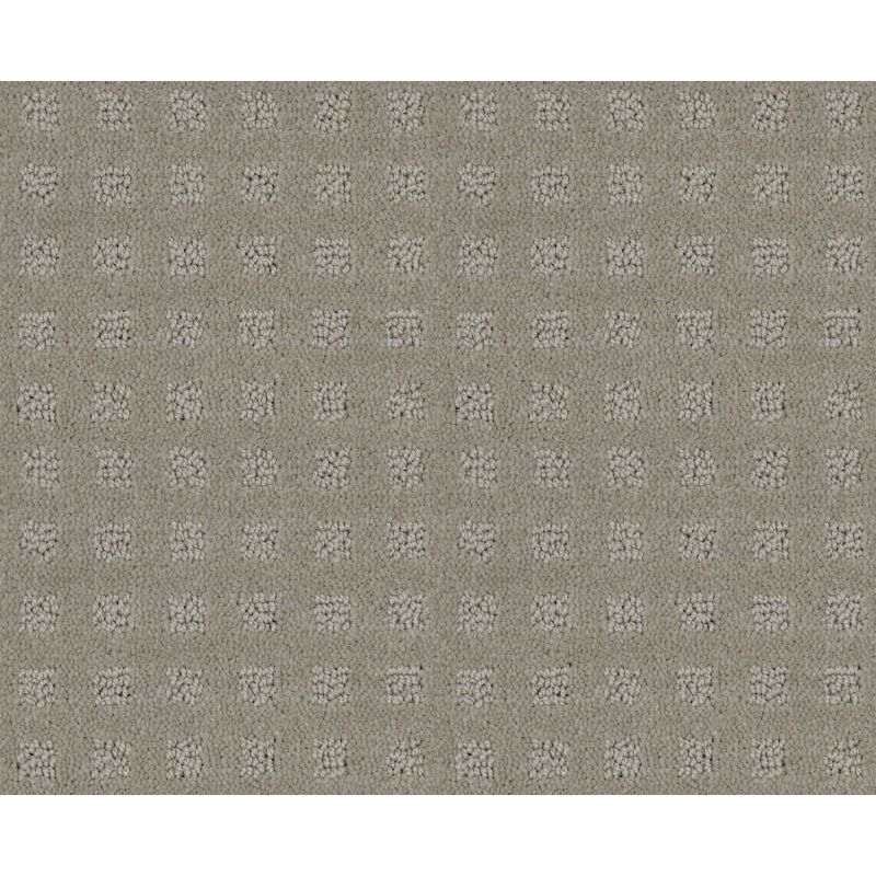 Shaw Floors Foundations Alluring Disposition Net Lady In Gray