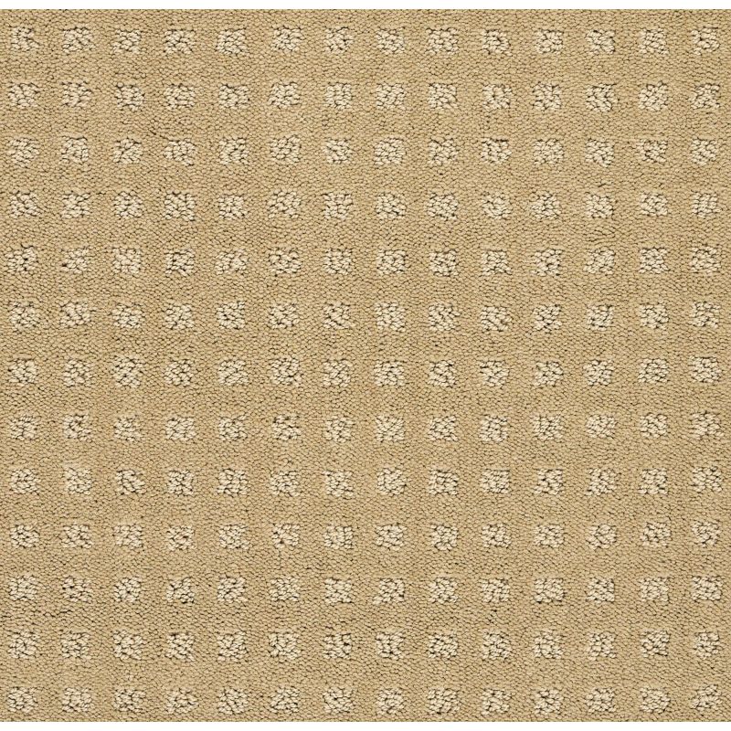 Shaw Floors Foundations Alluring Disposition Net Warmth