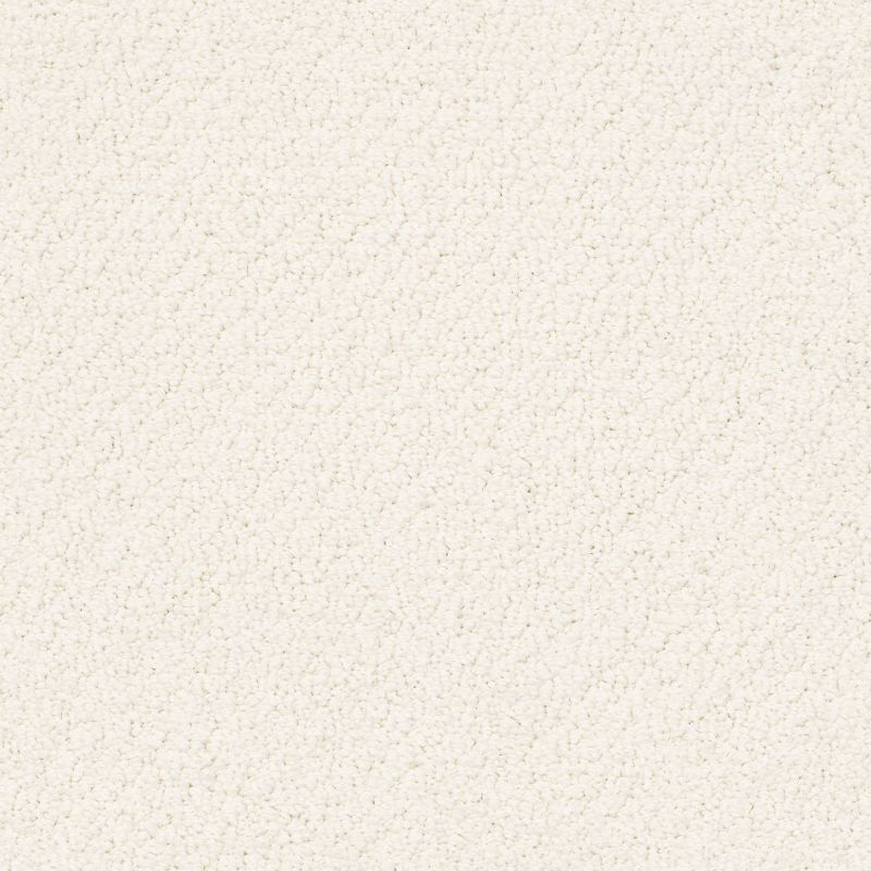 Shaw Floors Foundations Smart Thinking Net Crisp Linen