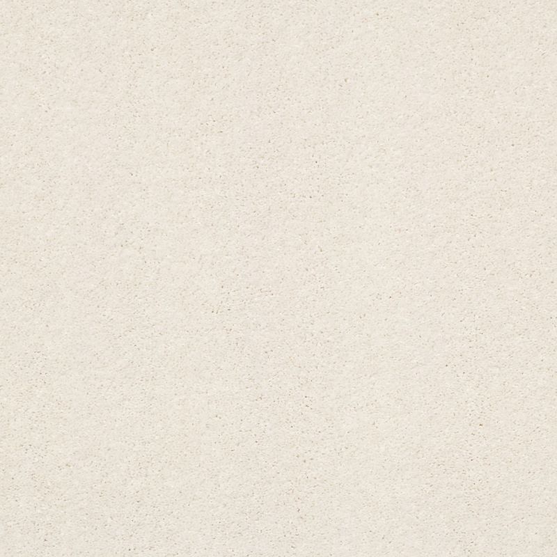 Shaw Floors Pet Perfect Plus Basic Rules Net Oatmeal