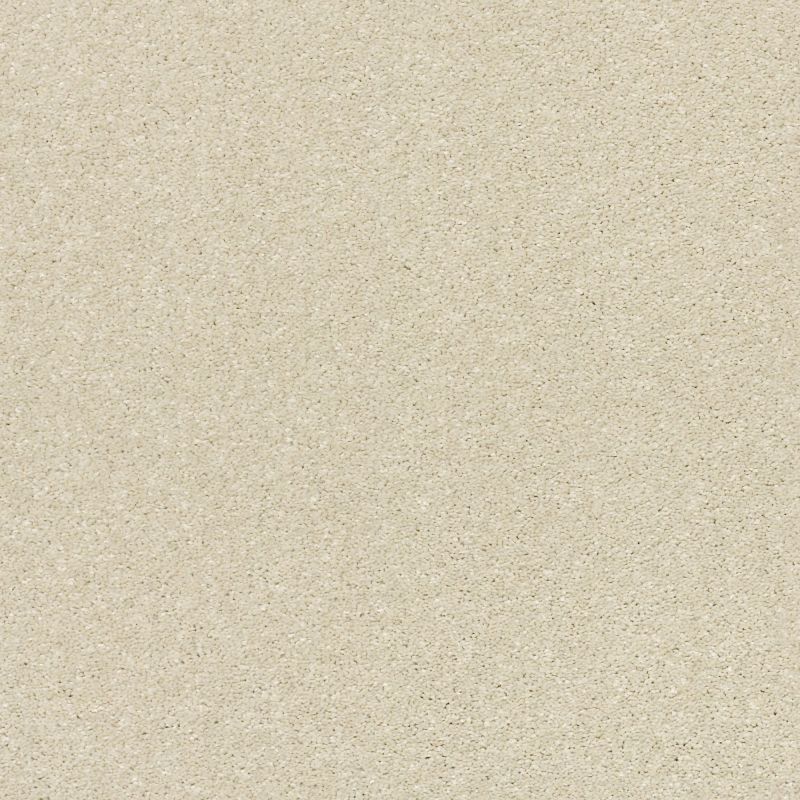 Shaw Floors Pet Perfect Plus Basic Rules Net Linen