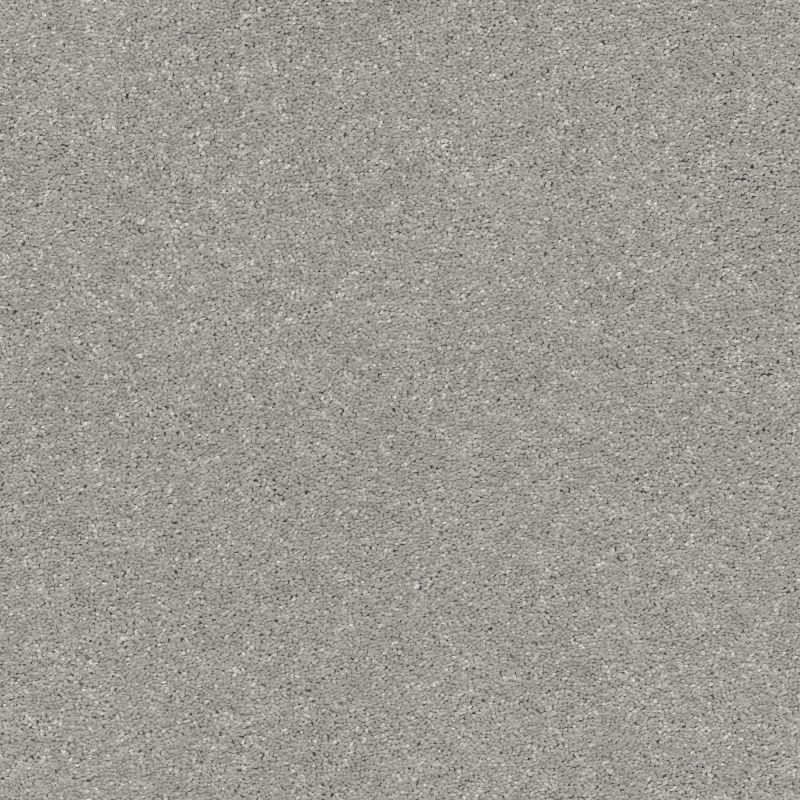 Shaw Floors Pet Perfect Plus Basic Rules Net Sterling