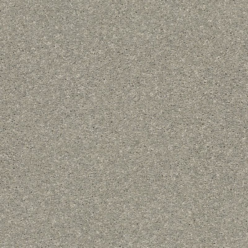 Shaw Floors Pet Perfect Plus Basic Rules Net Flax