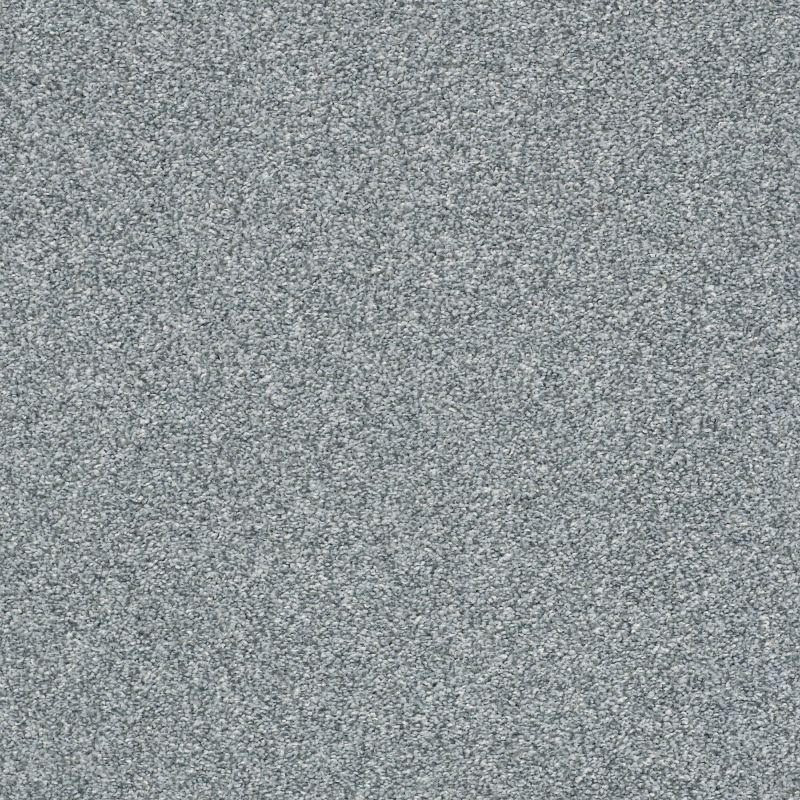 Shaw Floors Pet Perfect Plus Just A Hint I Net Aquamarine