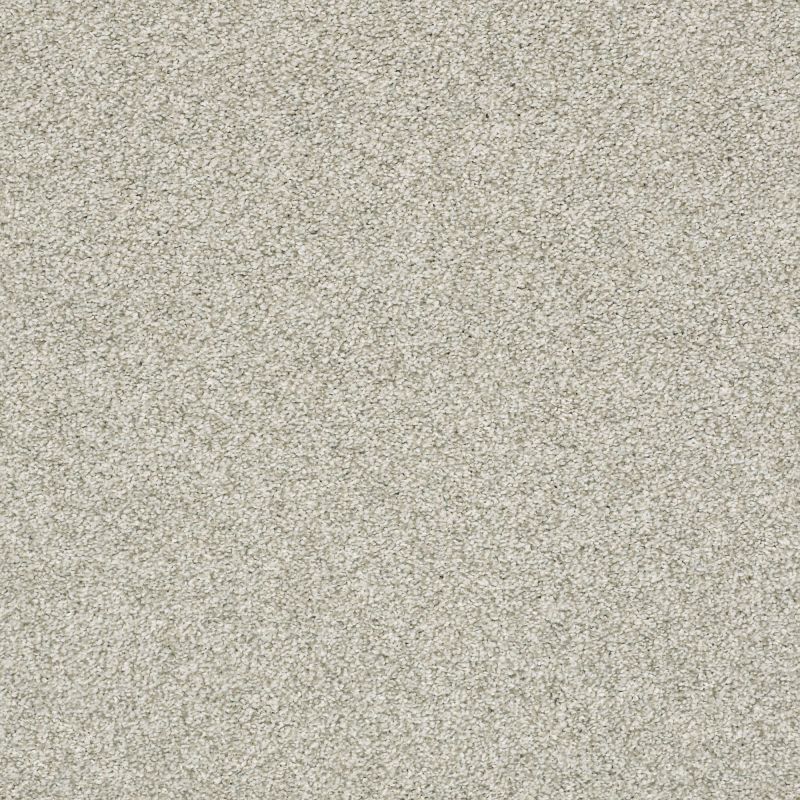 Shaw Floors Pet Perfect Plus Just A Hint I Net Fog