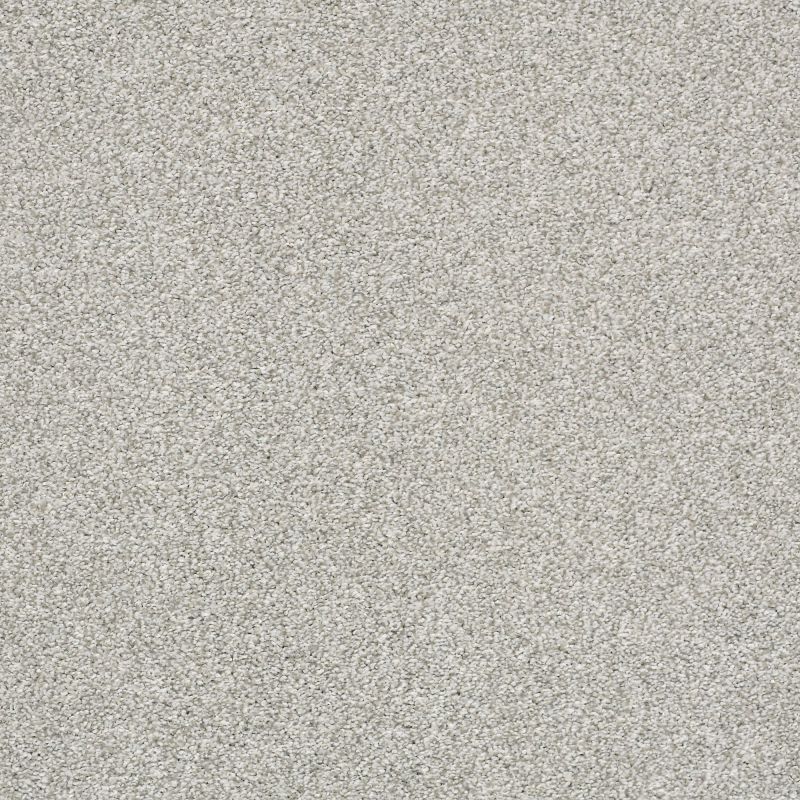 Shaw Floors Pet Perfect Plus Just A Hint II Net Dew