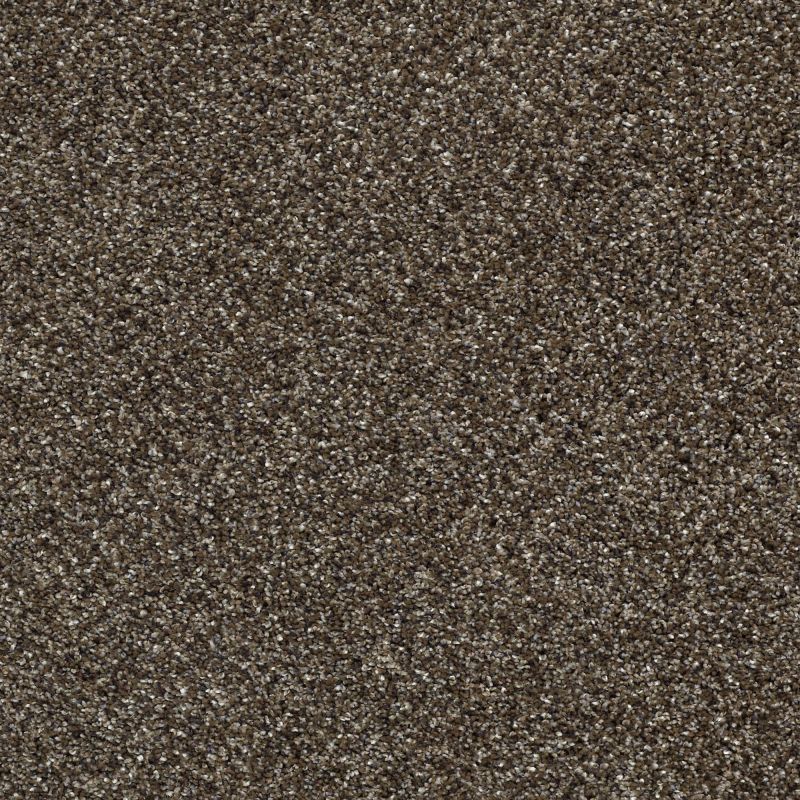 Shaw Floors Pet Perfect Plus Perpetual II Net Oatmeal