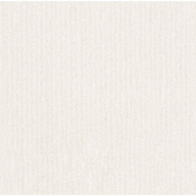 Shaw Floors Pet Perfect Plus Outside The Lines Net Super Fine