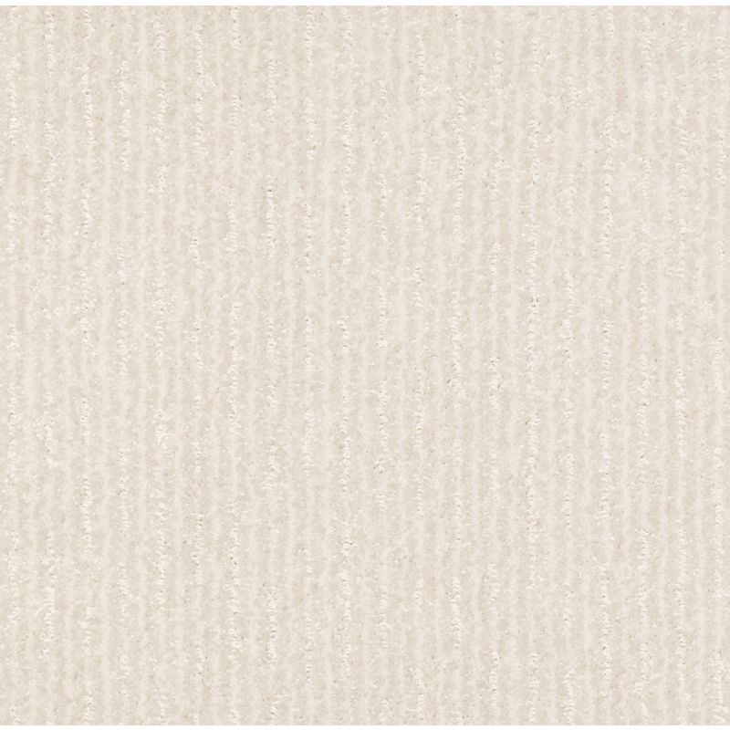 Shaw Floors Pet Perfect Plus Outside The Lines Net Snow Fall