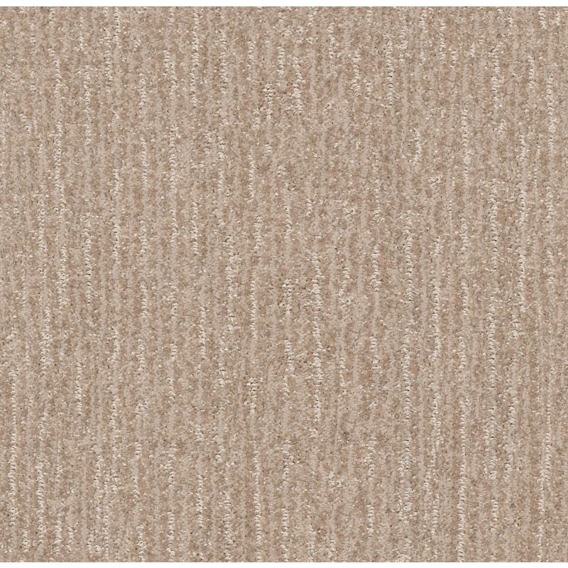 Shaw Floors Pet Perfect Plus Outside The Lines Net Toast