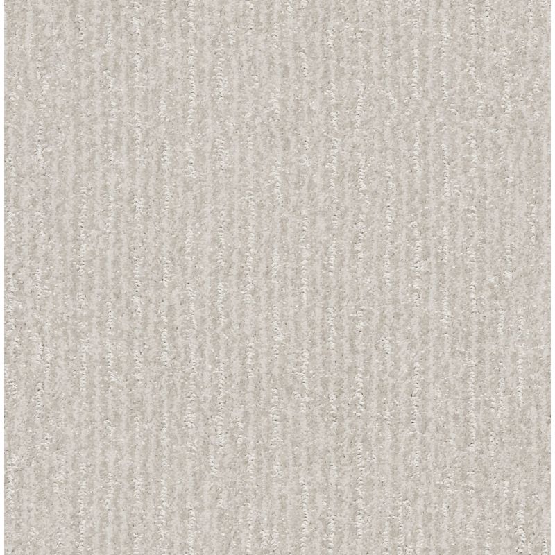 Shaw Floors Pet Perfect Plus Outside The Lines Net Dew