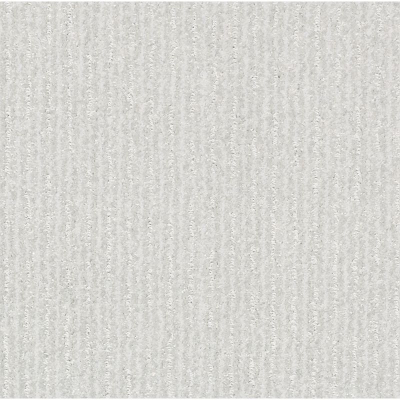 Shaw Floors Pet Perfect Plus Outside The Lines Net Mist