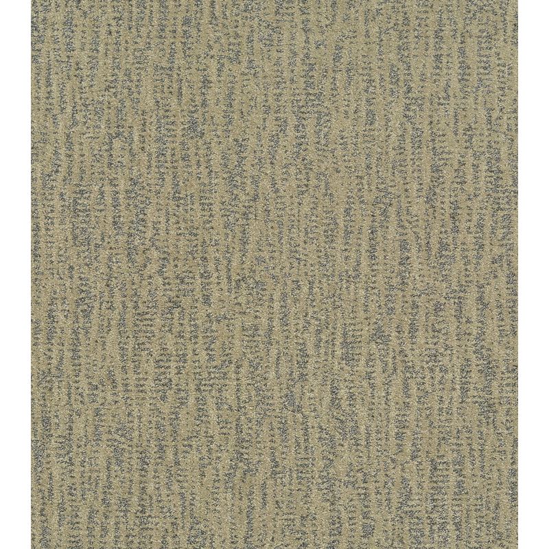 Shaw Floors Pet Perfect Plus Obvious Choice Net Chameleon