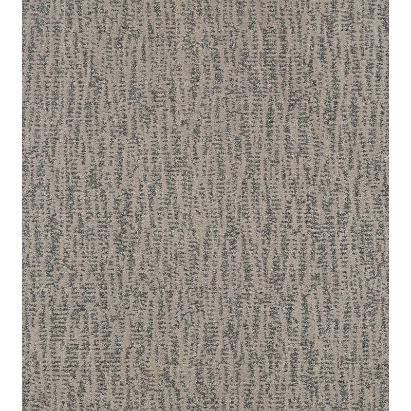 Shaw Floors Pet Perfect Plus Obvious Choice Net Sterling