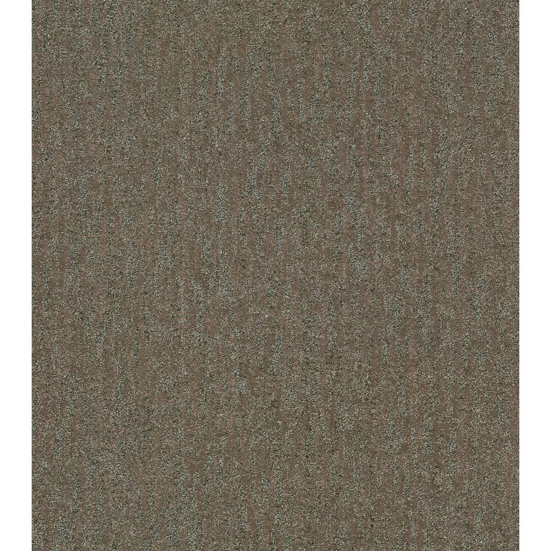Shaw Floors Pet Perfect Plus Obvious Choice Net Mahogany