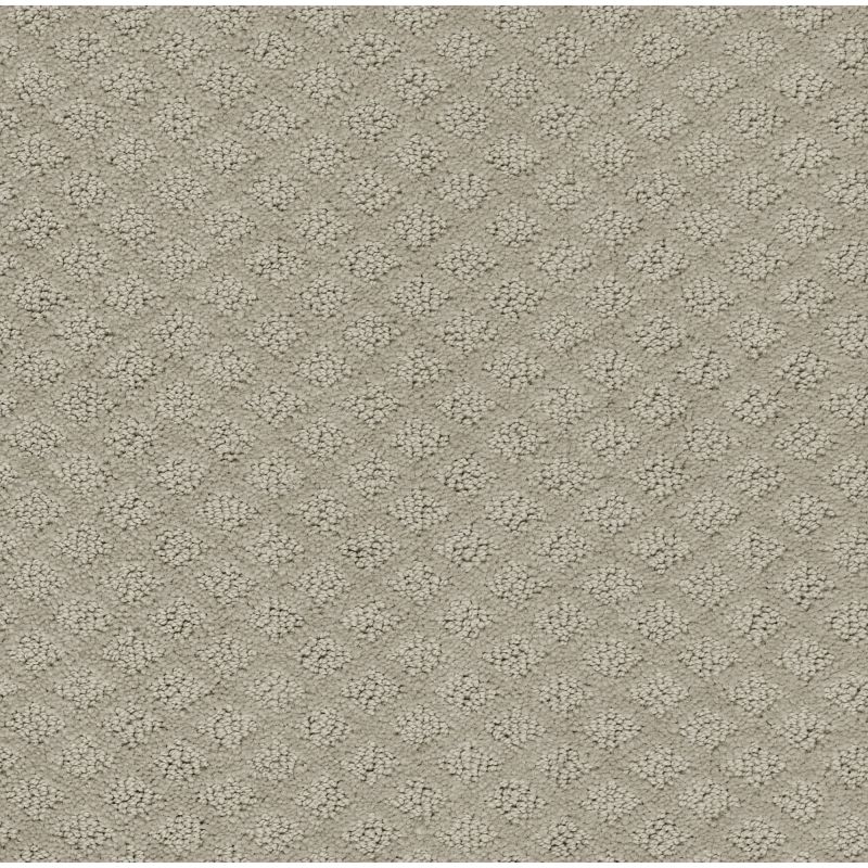 Shaw Floors Foundations Entwined With You Net Silhouette