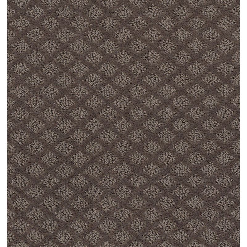 Shaw Floors Foundations Entwined With You Net Front Gate