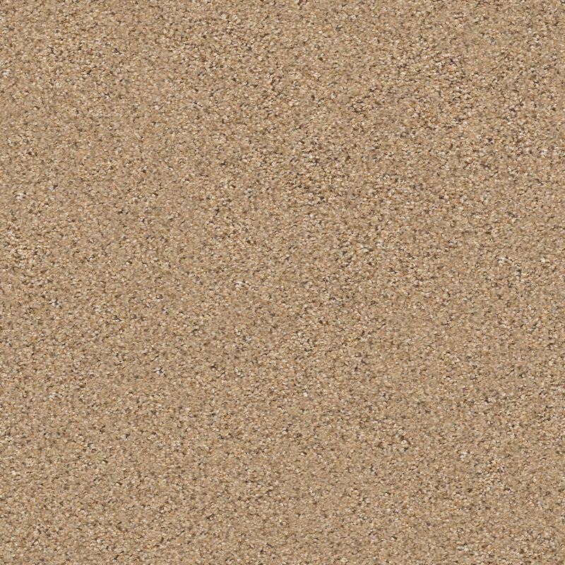 Shaw Floors Value Collections Nature Path Net Bridle Leather