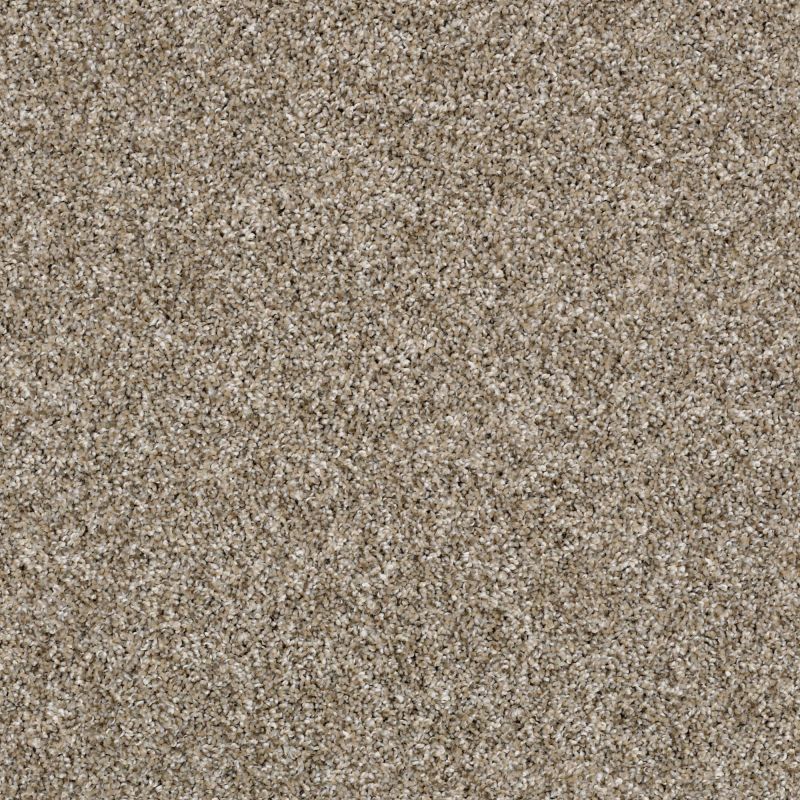 Shaw Floors Value Collections Shake It Up Tweed Net Weathered