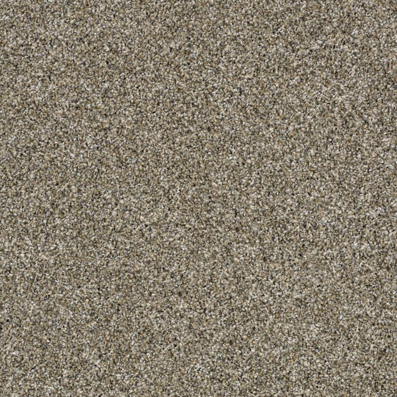 Shaw Floors Value Collections Shake It Up Tweed Net Fox Fur