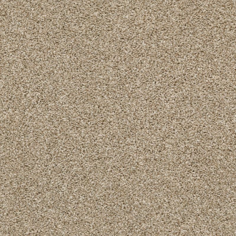 Shaw Floors Value Collections Shake It Up Tonal Net Croissant