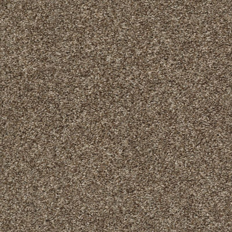 Shaw Floors Value Collections Shake It Up Tonal Net Rodeo