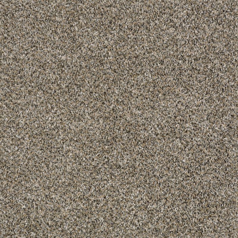 Shaw Floors Breathless Champion