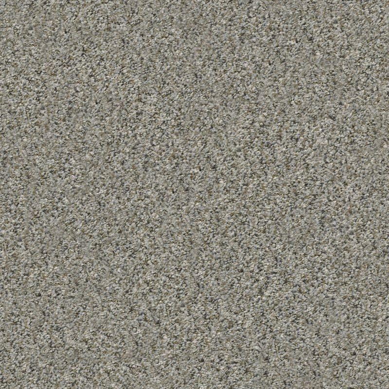 Shaw Floors Simply The Best All Set II Rhino