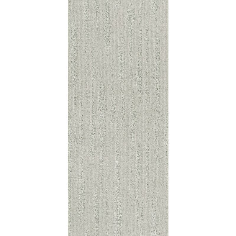 Shaw Floors Simply The Best All The Way Net Cloudy Gray