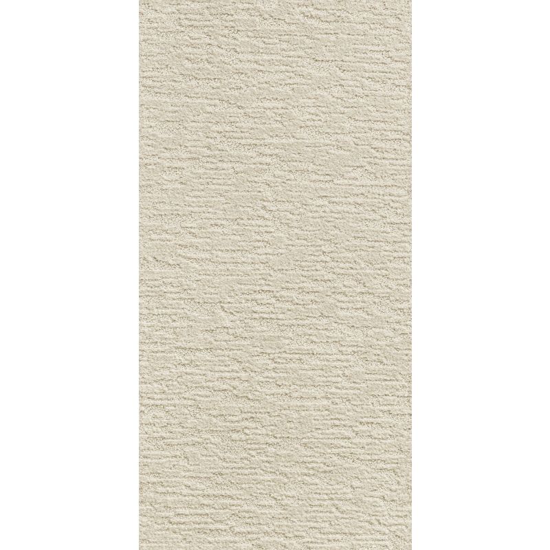 Shaw Floors Simply The Best All In One Net Latte