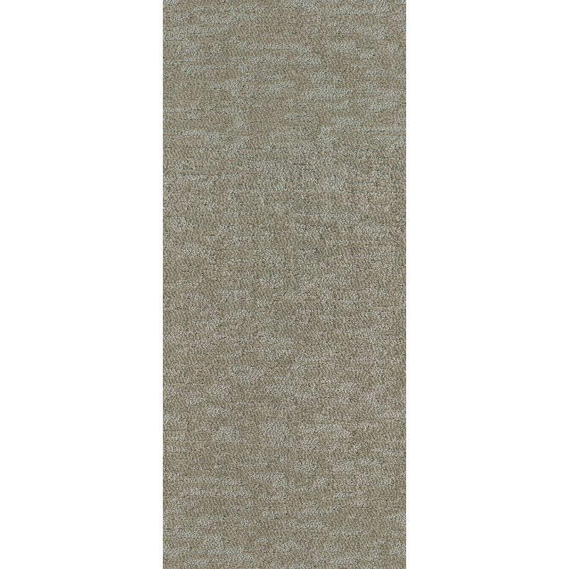 Shaw Floors Simply The Best All In One Net Beach Sand