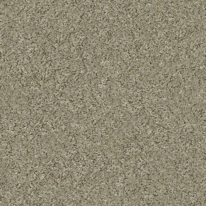 Shaw Floors Value Collections Marks The Spot I Tree House