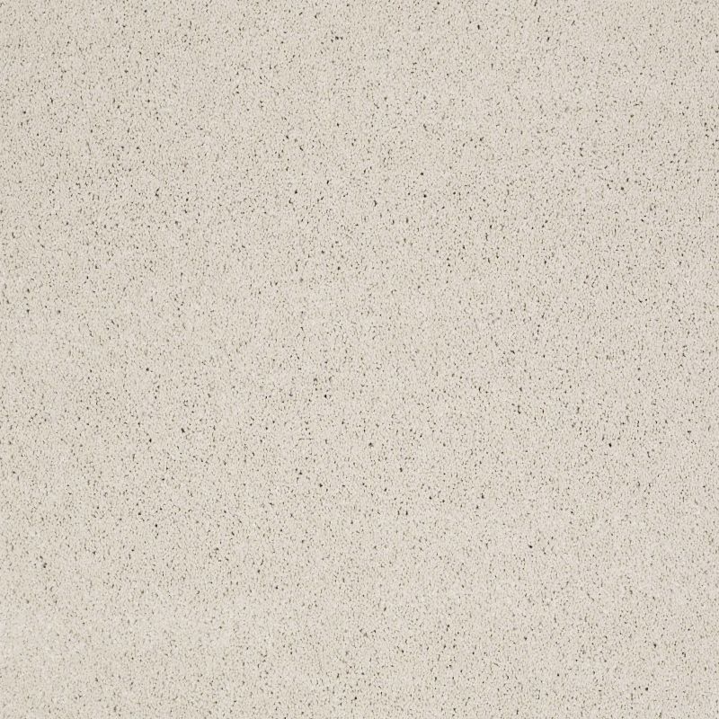 Shaw Floors Value Collections Cashmere Classic I Net Suffolk