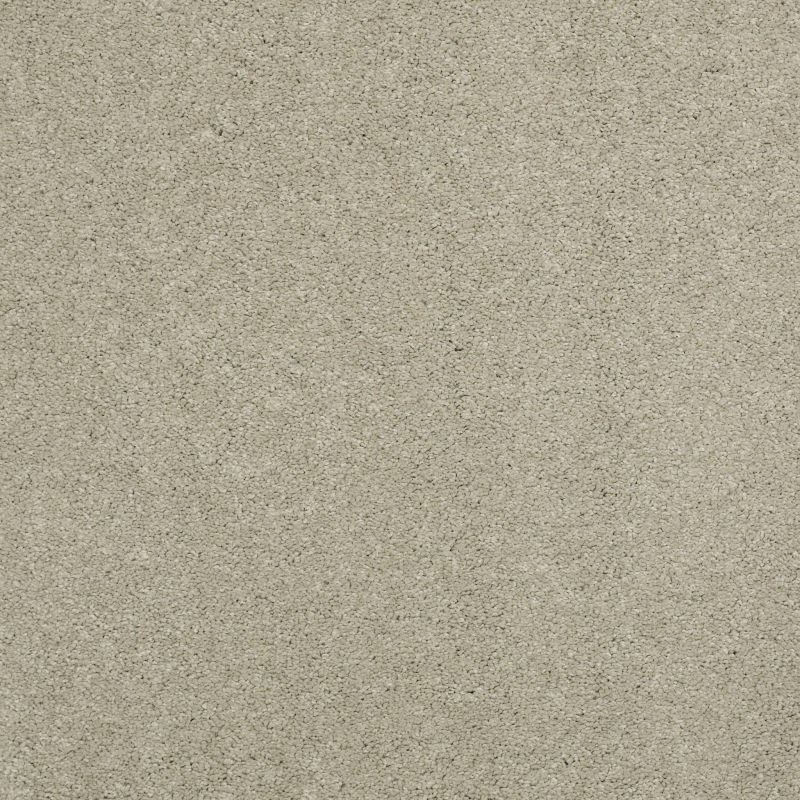 Shaw Floors Value Collections Cashmere Classic I Net Spruce