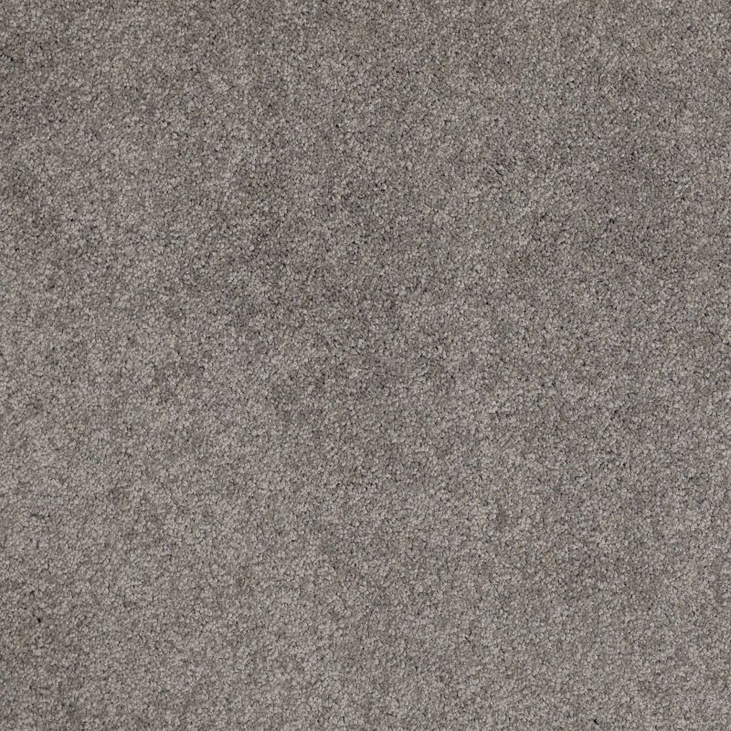 Shaw Floors Value Collections Cashmere Classic I Net Chinchilla
