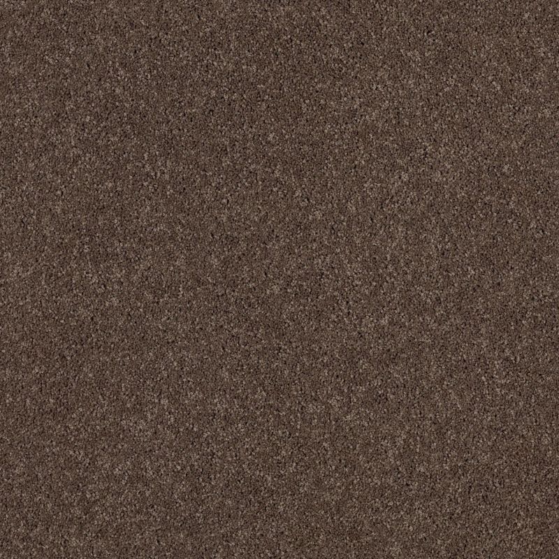 Shaw Floors Value Collections Cashmere Classic I Net Spring - Wood